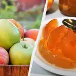 Bärnstensfärgad äppelsylt: skivorna är lika genomskinliga som klubbor Bärnstensfärgad äppelsylt: skivorna är lika genomskinliga som klubbor