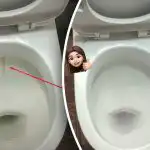 En produkt kommer att göra din toalettskål vitare till en