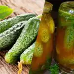 Hur man stänger gurkor i chiliketchup för vintern: 3 ojämförliga