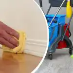 Du kan glömma damm på golvlister under lång tid: ett mirakelmedel som få människor känner till Du kan glömma damm på golvlister under lång tid: ett