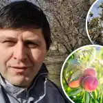 Lämnar ingen chans för krullning: expert avslöjar effektivt skyddssystem för